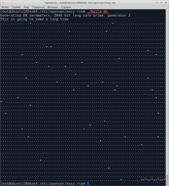 Screenshot 9: geração de chave Diffie-Hellman