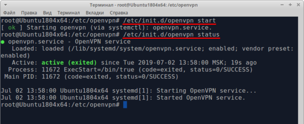 Screenshot 12: Configuração do OpenVPN no Ubuntu - verificar o resultado da inicialização