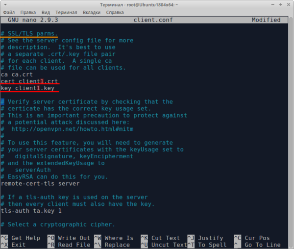 Screenshot 14: Configuração do OpenVPN no Ubuntu - edição de nomes de chaves