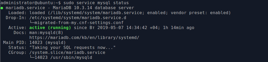 Instalando o MariaDB: verificar o status do servidor