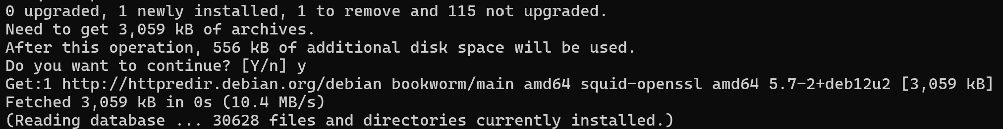 squid-2